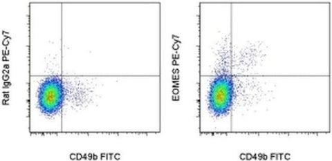 EOMES Monoclonal Antibody (Dan11mag), PE-Cyanine7, eBioscience