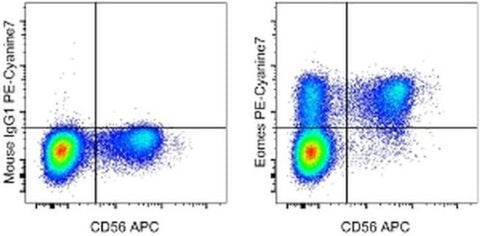 EOMES Monoclonal Antibody (WD1928), PE-Cyanine7, eBioscience