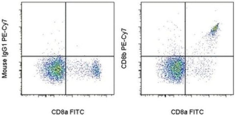 CD8b Monoclonal Antibody (SIDI8BEE), PE-Cyanine7, eBioscience