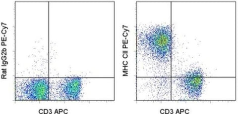 MHC Class II (I-A/I-E) Monoclonal Antibody (M5/114.15.2), PE-Cyanine7, eBioscience