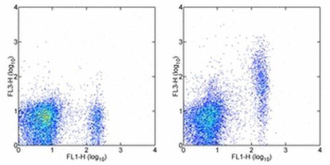 FR4 Monoclonal Antibody (eBio12A5), PE-Cyanine7, eBioscience