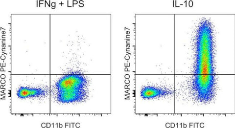 MARCO Monoclonal Antibody (PLK-1), PE-Cyanine7, eBioscience
