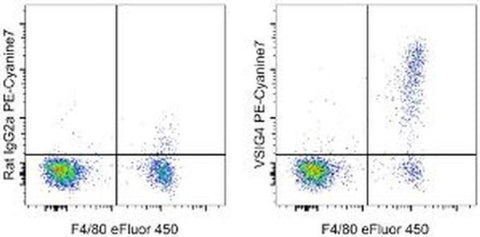 VSIG4 Monoclonal Antibody (NLA14), PE-Cyanine7, eBioscience