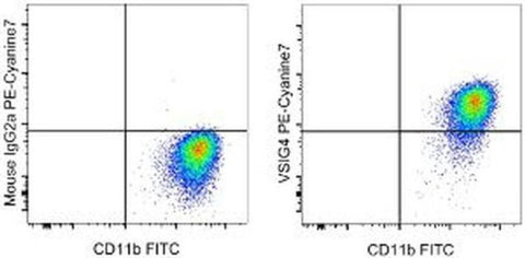 VSIG4 Monoclonal Antibody (JAV4), PE-Cyanine7, eBioscience