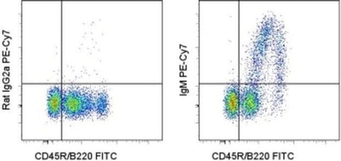 IgM Monoclonal Antibody (II/41), PE-Cyanine7, eBioscience