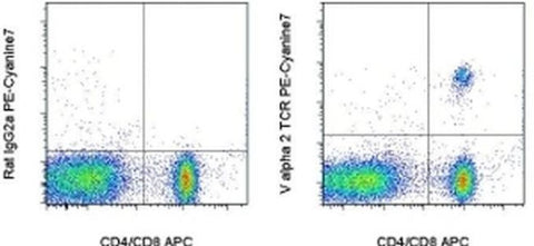 TCR V alpha 2 Monoclonal Antibody (B20.1), PE-Cyanine7, eBioscience