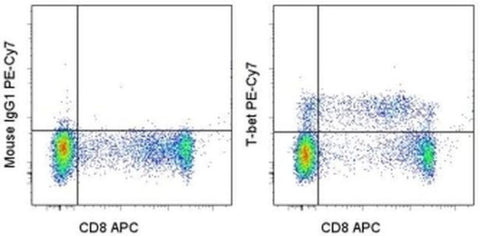 T-bet Monoclonal Antibody (eBio4B10 (4B10)), PE-Cyanine7, eBioscience