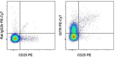 CD357 (AITR/GITR) Monoclonal Antibody (DTA-1), PE-Cyanine7, eBioscience