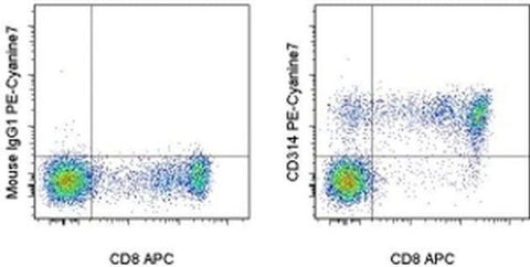 CD314 (NKG2D) Monoclonal Antibody (1D11), PE-Cyanine7, eBioscience