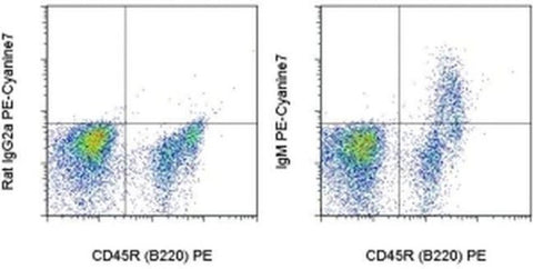IgM Monoclonal Antibody (eB121-15F9), PE-Cyanine7, eBioscience