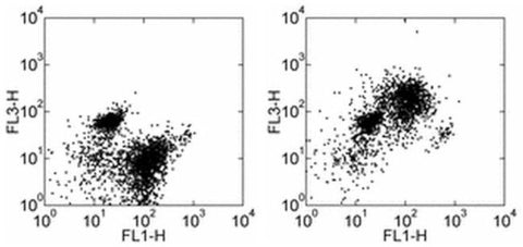 CD93 (AA4.1) Monoclonal Antibody (AA4.1), PE-Cyanine7, eBioscience