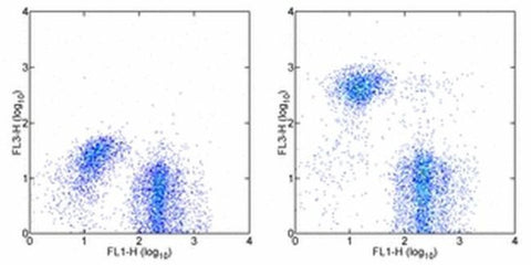 TER-119 Monoclonal Antibody (TER-119), PE-Cyanine7, eBioscience