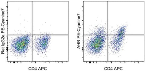 AHR Monoclonal Antibody (4MEJJ), PE-Cyanine7, eBioscience