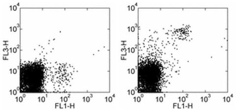 NK1.1 Monoclonal Antibody (PK136), PE-Cyanine7, eBioscience
