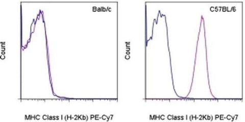 MHC Class I (H-2Kb) Monoclonal Antibody (AF6-88.5.5.3), PE-Cyanine7, eBioscience