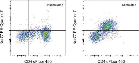 Nur77 Monoclonal Antibody (12.14), PE-Cyanine7, eBioscience