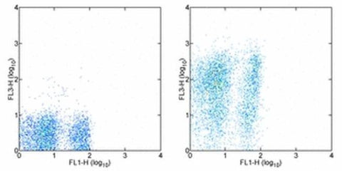 Ly-6A/E (Sca-1) Monoclonal Antibody (D7), PE-Cyanine7, eBioscience