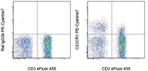 CX3CR1 Monoclonal Antibody (2A9-1), PE-Cyanine7, eBioscience