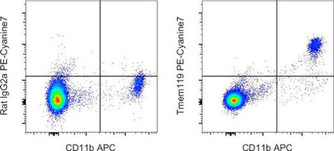 Tmem119 Monoclonal Antibody (V3RT1GOsz), PE-Cyanine7, eBioscience