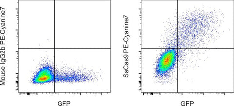 Staphylococcus aureus Cas9 Monoclonal Antibody (6H4), PE-Cyanine7, eBioscience