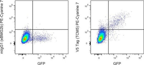 V5 Tag Monoclonal Antibody (TCM5), PE-Cyanine7, eBioscience