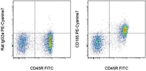 CD185 (CXCR5) Monoclonal Antibody (SPRCL5), PE-Cyanine7, eBioscience