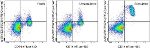 Phospho-S6 (Ser235, Ser236) Monoclonal Antibody (cupk43k), PE-Cyanine7, eBioscience