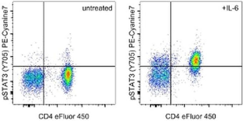 Phospho-STAT3 (Tyr705) Monoclonal Antibody (LUVNKLA), PE-Cyanine7, eBioscience