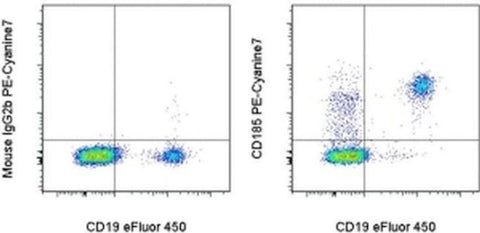 CD185 (CXCR5) Monoclonal Antibody (MU5UBEE), PE-Cyanine7, eBioscience