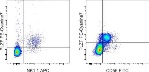 PLZF Monoclonal Antibody (9E12), PE-Cyanine7, eBioscience