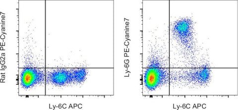 Ly-6G Monoclonal Antibody (1A8-Ly6g), PE-Cyanine7, eBioscience
