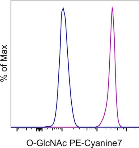 O-GlcNAc Monoclonal Antibody (RL2), PE-Cyanine7, eBioscience