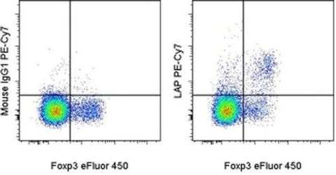 LAP (Latency Associated peptide) Monoclonal Antibody (FNLAP), PE-Cyanine7, eBioscience