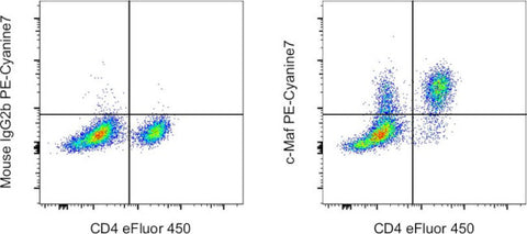 c-MAF Monoclonal Antibody (sym0F1), PE-Cyanine7, eBioscience