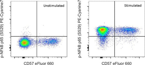 Phospho-NFkB p65 (Ser529) Monoclonal Antibody (B33B4WP), PE-Cyanine7, eBioscience