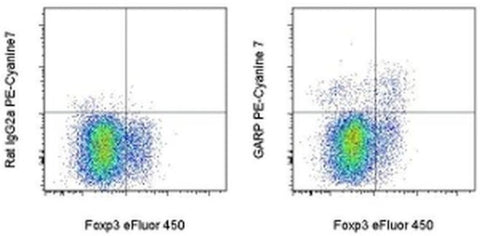 GARP Monoclonal Antibody (G14D9), PE-Cyanine7, eBioscience