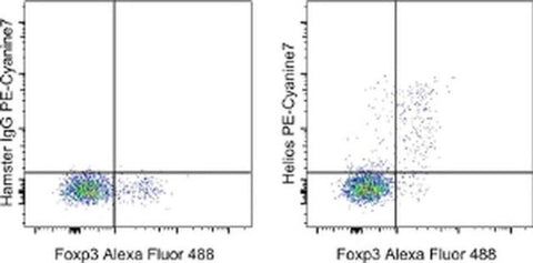 HELIOS Monoclonal Antibody (22F6), PE-Cyanine7, eBioscience