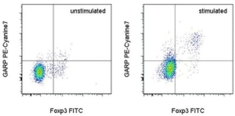 GARP Monoclonal Antibody (YGIC86), PE-Cyanine7, eBioscience