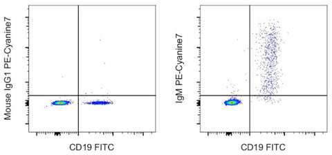 IgM Monoclonal Antibody (SA-DA4), PE-Cyanine7, eBioscience