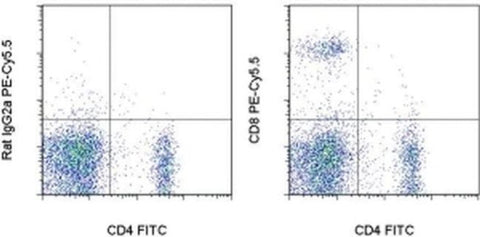 CD8a Monoclonal Antibody (53-6.7), PE-Cyanine5.5, eBioscience