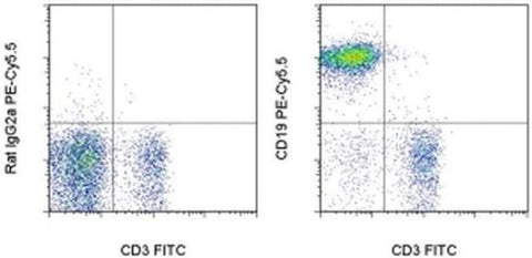 CD19 Monoclonal Antibody (eBio1D3 (1D3)), PE-Cyanine5.5, eBioscience