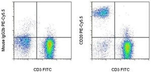 CD20 Monoclonal Antibody (2H7), PE-Cyanine5.5, eBioscience