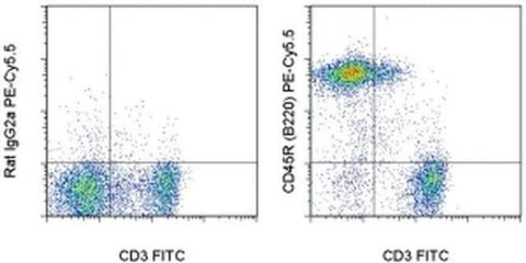 CD45R (B220) Monoclonal Antibody (RA3-6B2), PE-Cyanine5.5, eBioscience