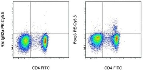 FOXP3 Monoclonal Antibody (PCH101), PE-Cyanine5.5, eBioscience