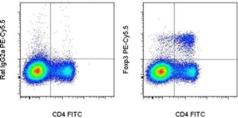 FOXP3 Monoclonal Antibody (FJK-16s), PE-Cyanine5.5, eBioscience