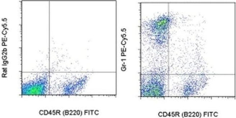 Ly-6G/Ly-6C Monoclonal Antibody (RB6-8C5), PE-Cyanine5.5, eBioscience