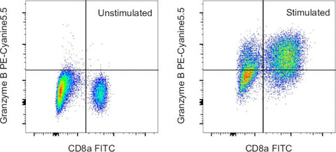 Granzyme B Monoclonal Antibody (NGZB), PE-Cyanine5.5, eBioscience