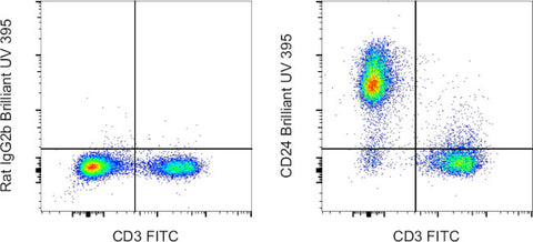 CD24 Monoclonal Antibody (M1/69), Brilliant Ultra Violet 395, eBioscience