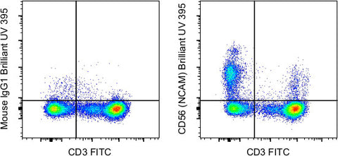 CD56 (NCAM) Monoclonal Antibody (TULY56), Brilliant Ultra Violet 395, eBioscience