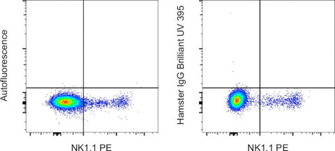 Syrian Hamster IgG Isotype Control, Brilliant Ultra Violet 395, eBioscience